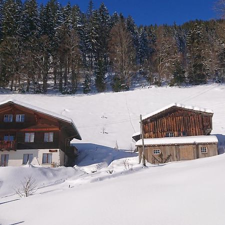 Kaenzeli - Ferienwohnung Mit Traumaussicht Beatenberg Exteriér fotografie